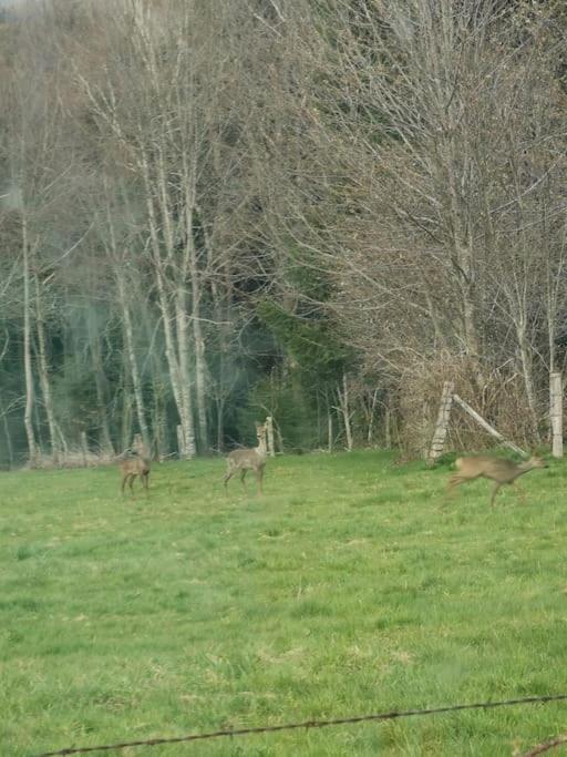 La Magie Entre Deux Lacs Villa Gérardmer Kültér fotó